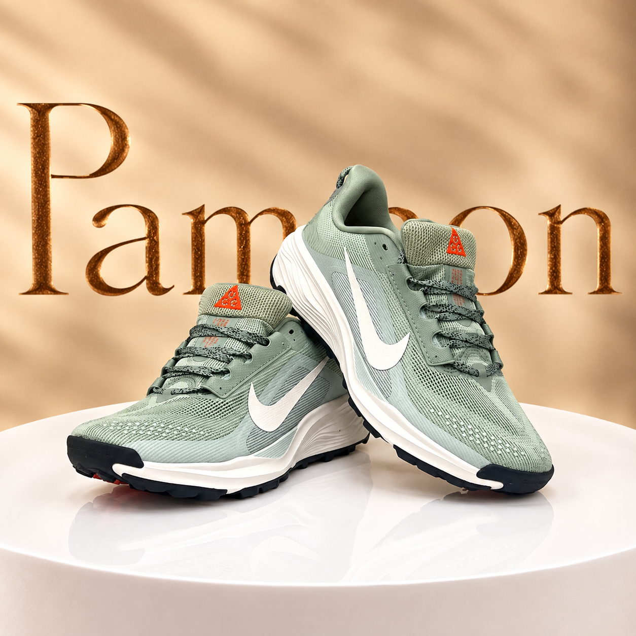 کتونی اسپرت برند NIKE مدل ACG pegasus trail